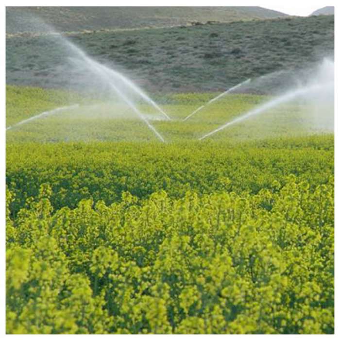 The plan of  Agricultural Water Transmission canals in Shazand area (Markazi province)