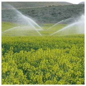 The plan of  Agricultural Water Transmission canals in Shazand area (Markazi province)